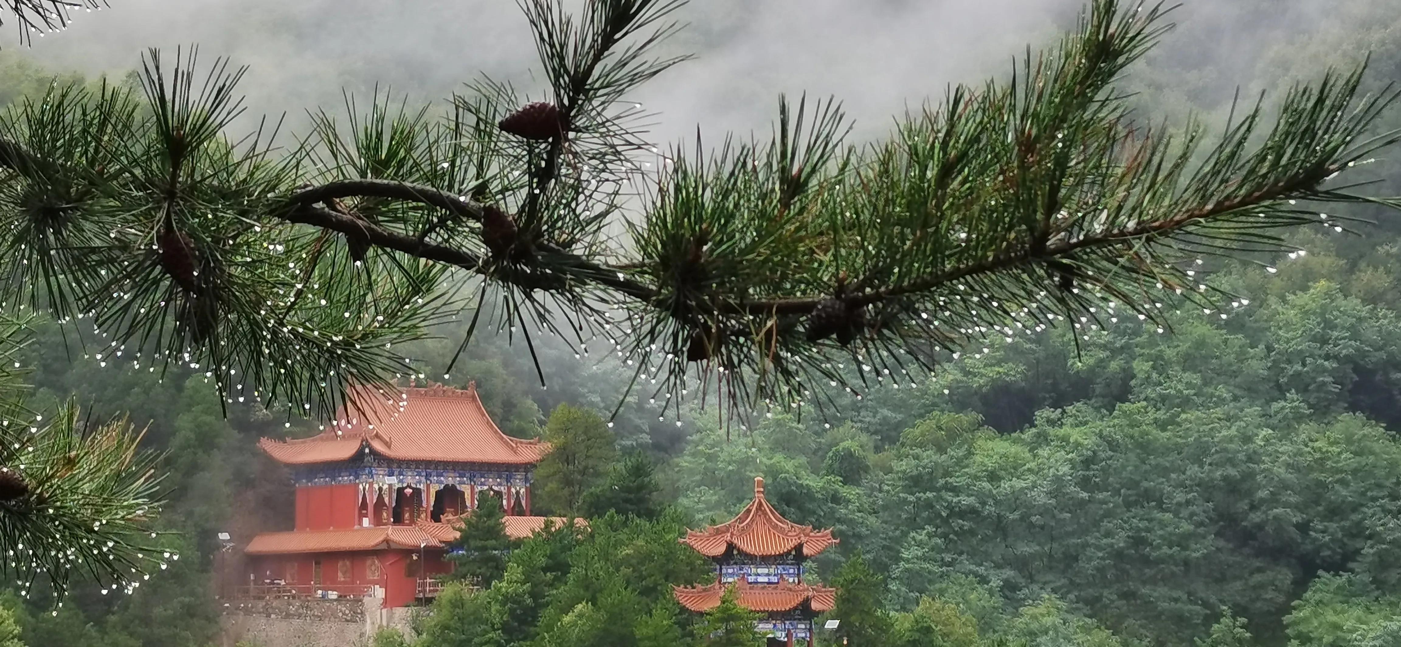 秋雨绵绵打一动物生肖｜端庄解答解释落实