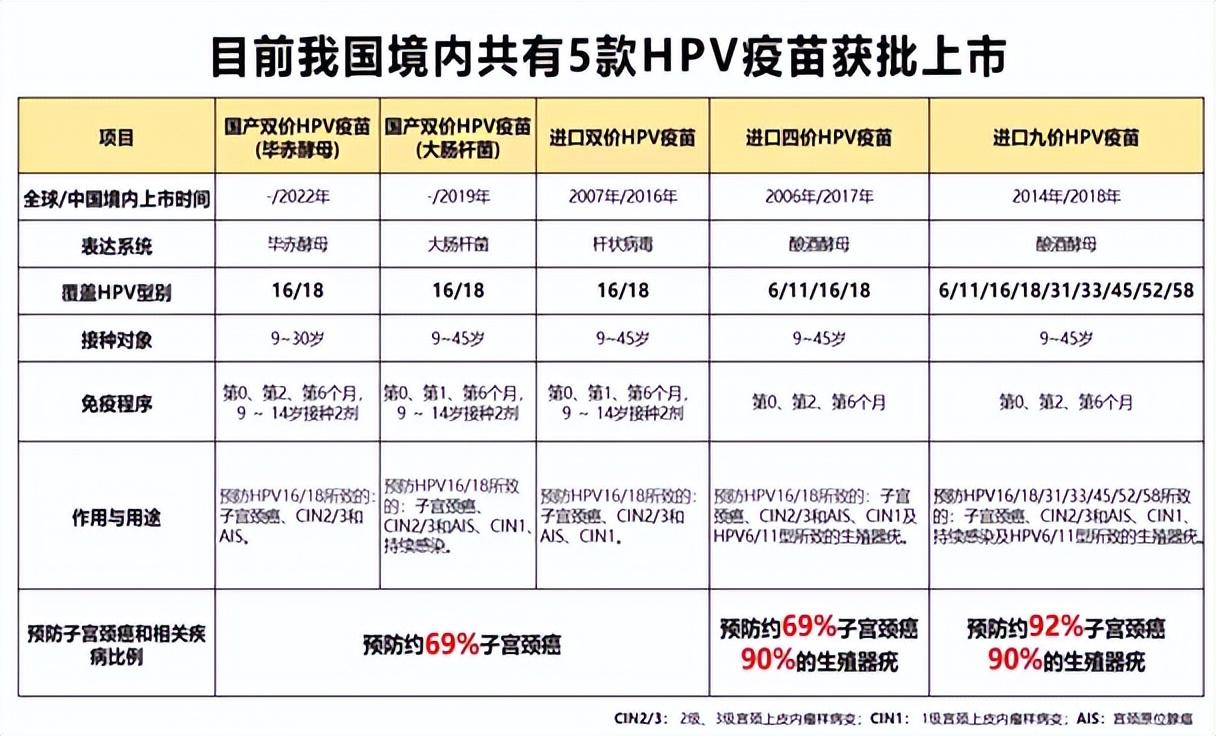 寄你欢颜